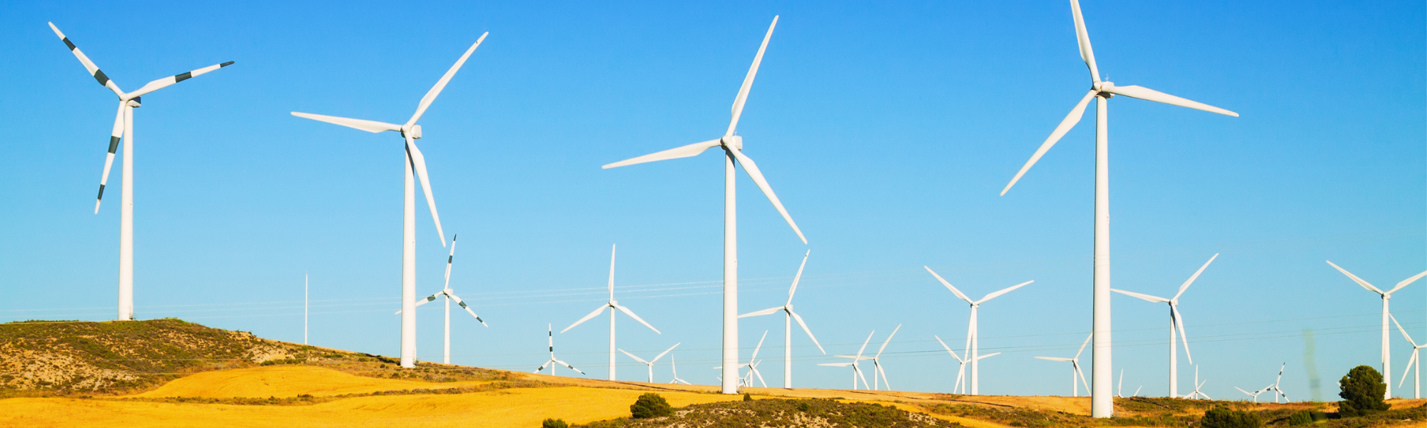 wind-turbine